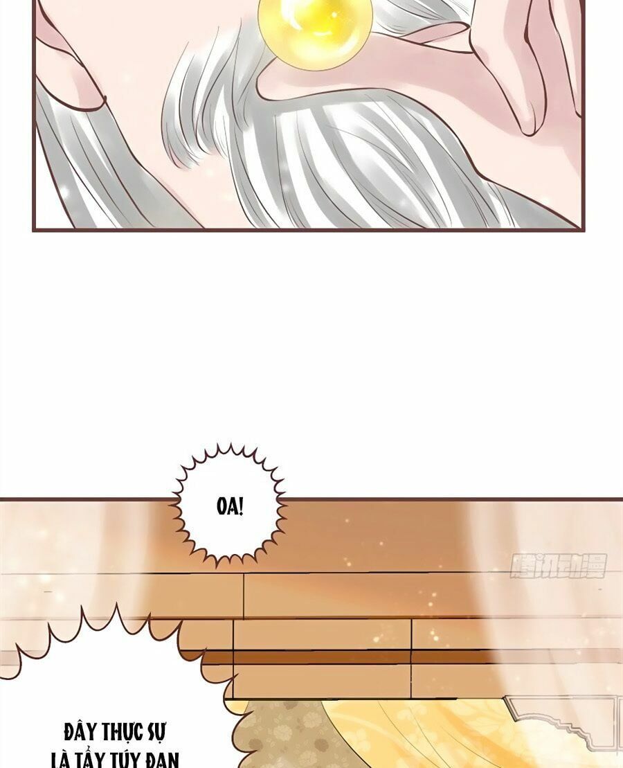 đọc truyện Liệt Hỏa Cuồng Phi: Vương Gia Thú Tính Muốn Sủng Chương 13 ảnh 21 tại Thiên Thai Truyện