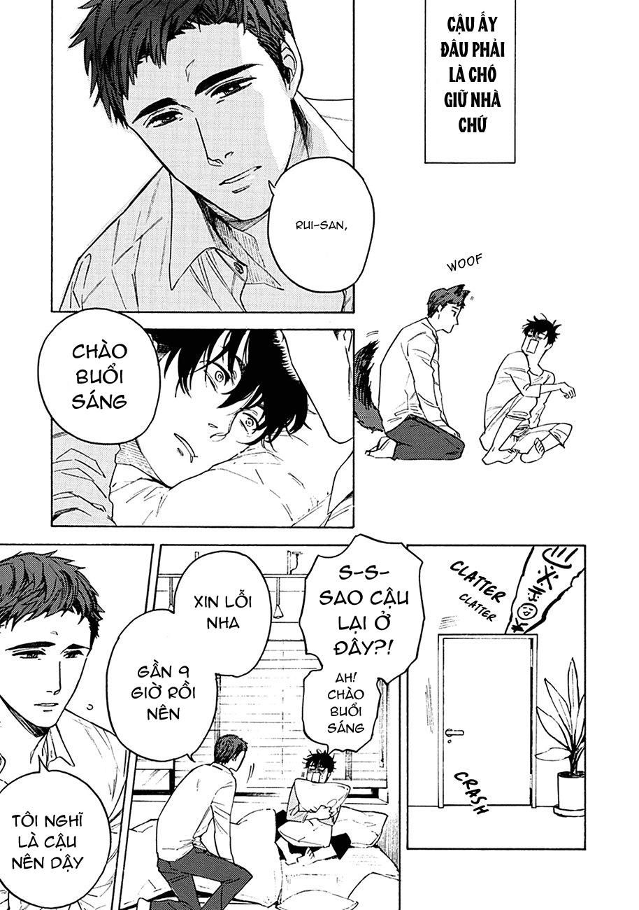 đọc truyện Liệu Tôi Có Thể Trói Cậu Lại Được Chứ Yakuza-san Chương 1 ảnh 19 tại Giả Dược