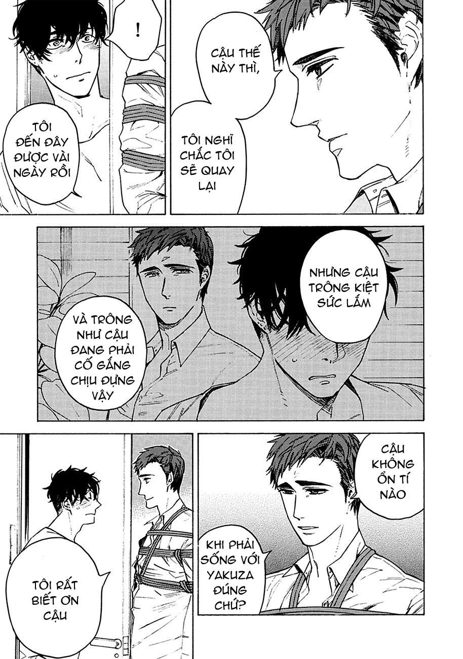 đọc truyện Liệu Tôi Có Thể Trói Cậu Lại Được Chứ Yakuza-san Chương 1 ảnh 29 tại Giả Dược