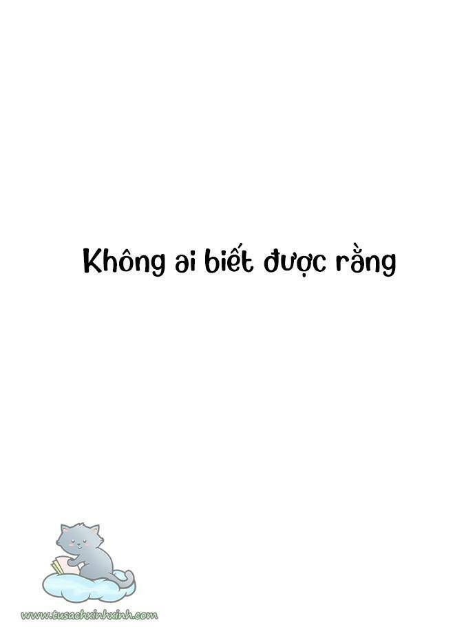 đọc truyện Lớ Ngớ Vớ Phải Tình Yêu Chương 4 ảnh 87 tại Giả Dược