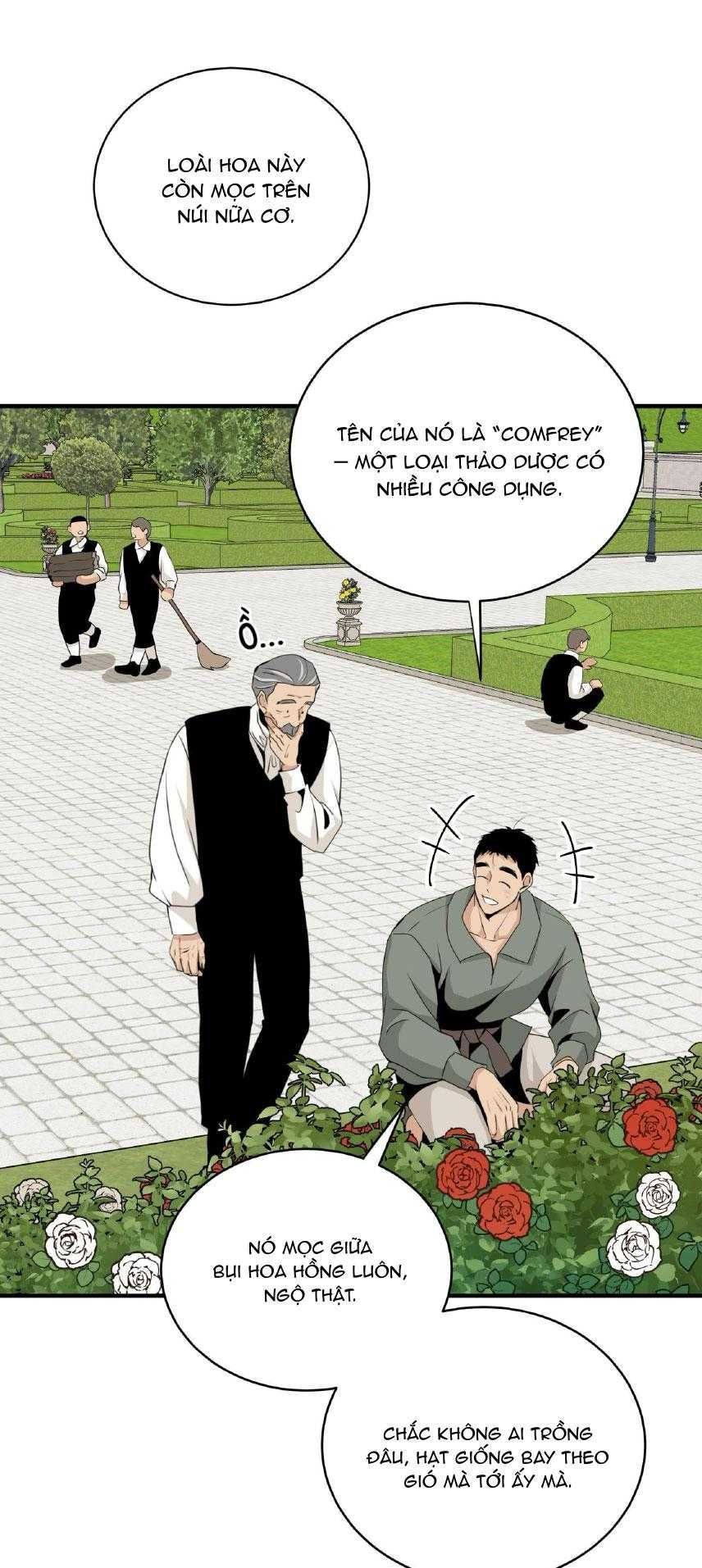 đọc truyện Loài Hoa Không Tên Chương 23 ảnh 41 tại Thiên Thai Truyện