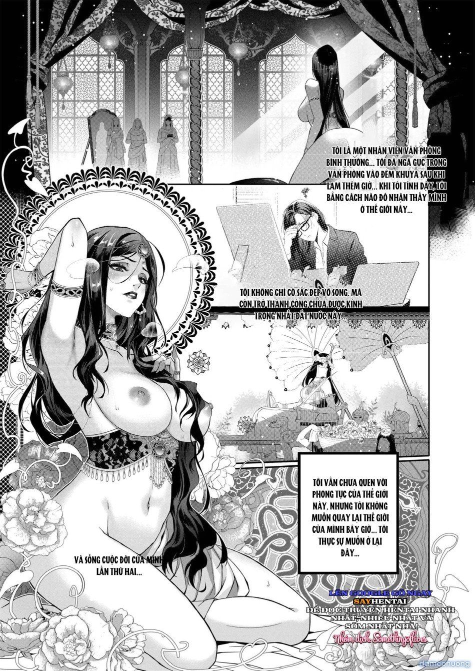 đọc truyện Lời Nguyền Quyến Rũ Chương 1 ảnh 6 tại Thiên Thai Truyện