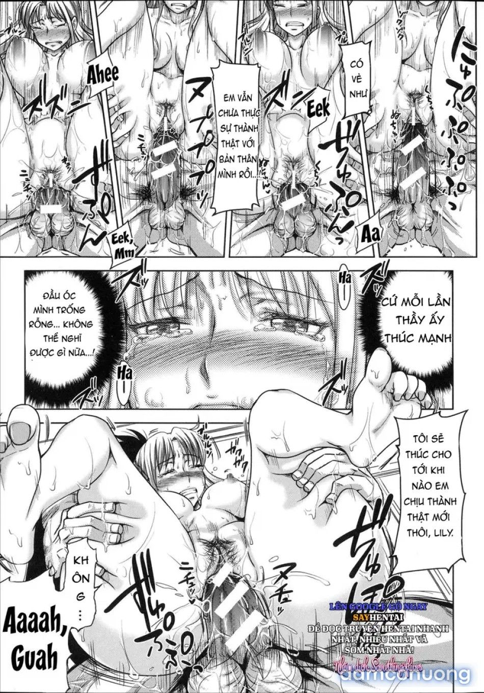 đọc truyện Lớp Học Dục Vọng Nơi Kỷ Luật Bị Phá Bỏ Chương 1 ảnh 28 tại Thiên Thai Truyện