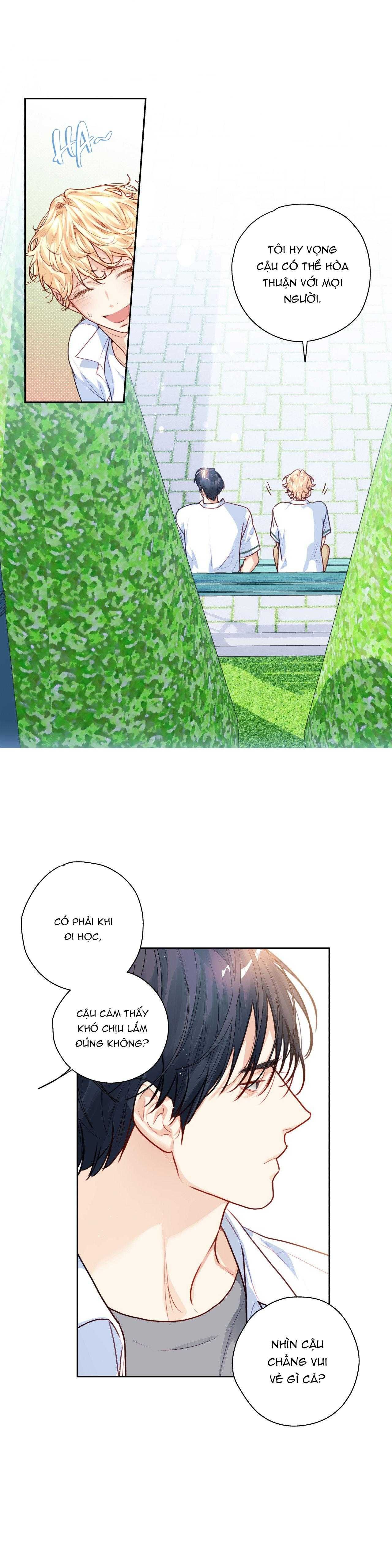 đọc truyện Love Is An Illusion! Superstar Chương 19 ảnh 25 tại Thiên Thai Truyện