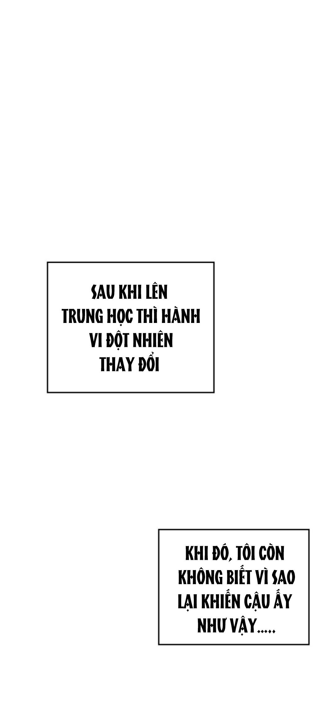 đọc truyện Luật Của Tiểu Thuyết Mạng - Inso