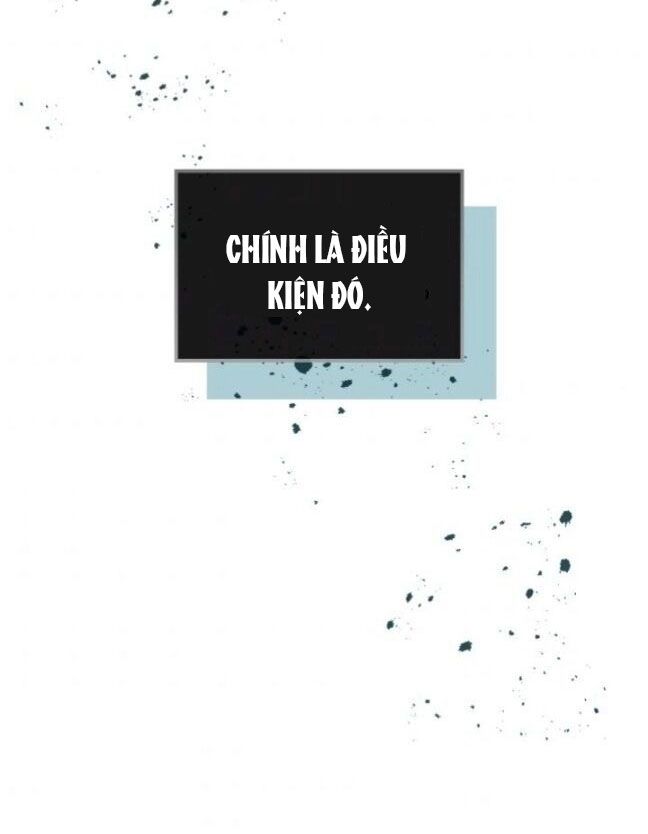 đọc truyện Luật Của Tiểu Thuyết Mạng - Inso
