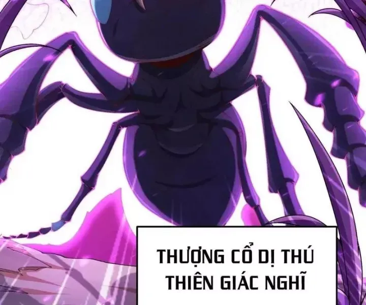 đọc truyện Luyện Khí 3000 Tầng: Mở Đầu Thu Nữ Đế Làm Đệ Chương 3 ảnh 97 tại Thiên Thai Truyện