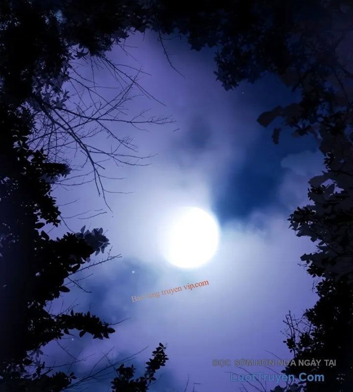 đọc truyện Ma Pháp Sư Hắc Ám Trở Về Để Nhập Ngũ Chương 52 ảnh 222 tại Thiên Thai Truyện