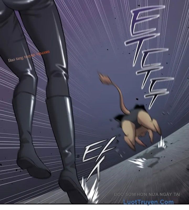 đọc truyện Ma Pháp Sư Hắc Ám Trở Về Để Nhập Ngũ Chương 52 ảnh 87 tại Thiên Thai Truyện