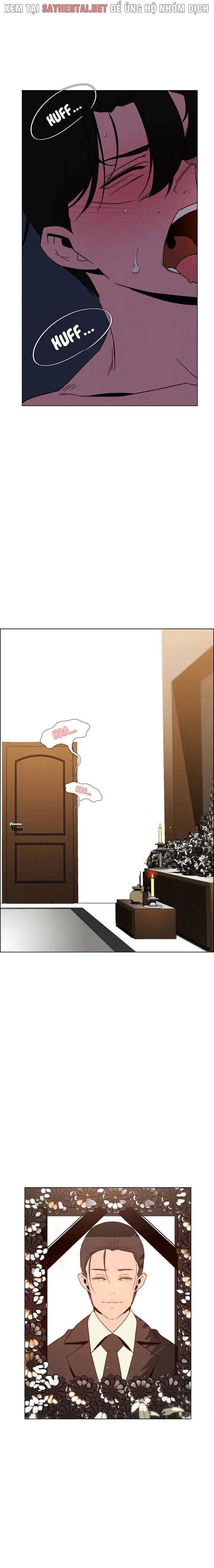 đọc truyện Màn Mưa Chương 74 ảnh 10 tại Giả Dược