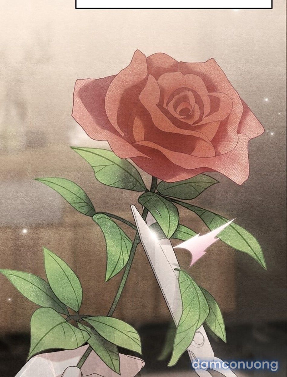 đọc truyện Mang Thai Ngoan Ngoãn Chương 11 ảnh 93 tại Thiên Thai Truyện