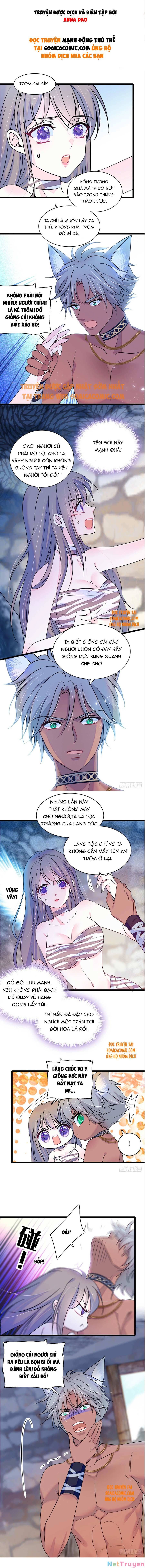 đọc truyện Manh Động Thú Thế Chương 13 ảnh 3 tại Thiên Thai Truyện