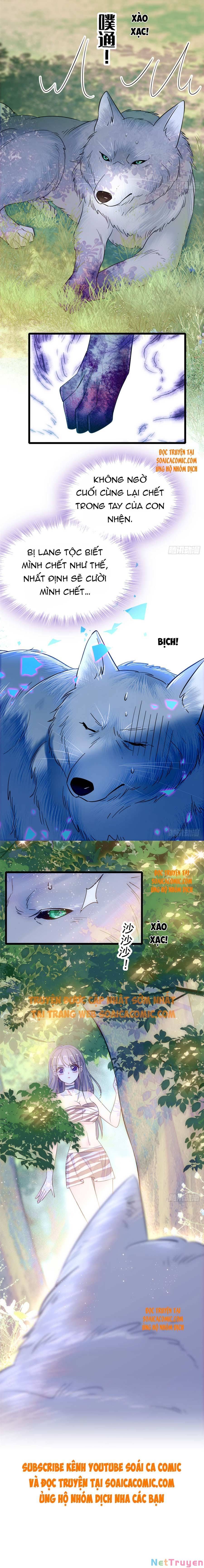 đọc truyện Manh Động Thú Thế Chương 18 ảnh 6 tại Thiên Thai Truyện