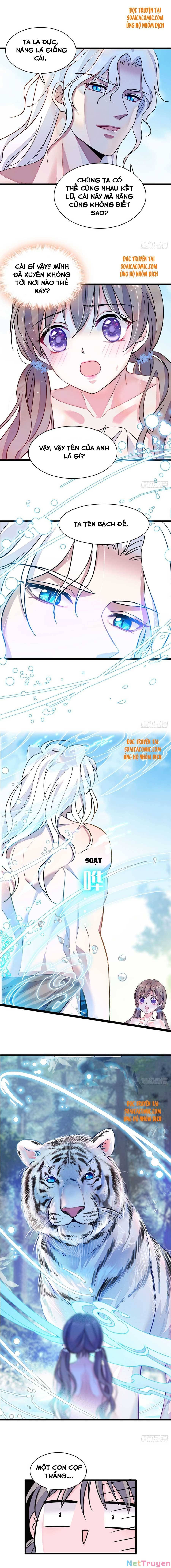 đọc truyện Manh Động Thú Thế Chương 2 ảnh 5 tại Thiên Thai Truyện