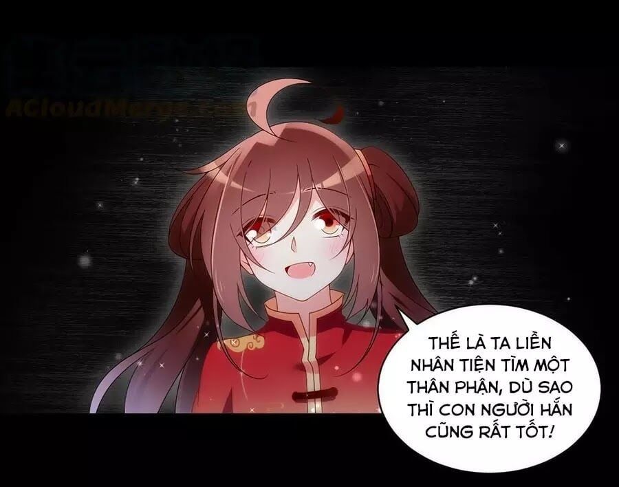 đọc truyện Manh Sư Tại Thượng Chương 144 ảnh 22 tại Thiên Thai Truyện