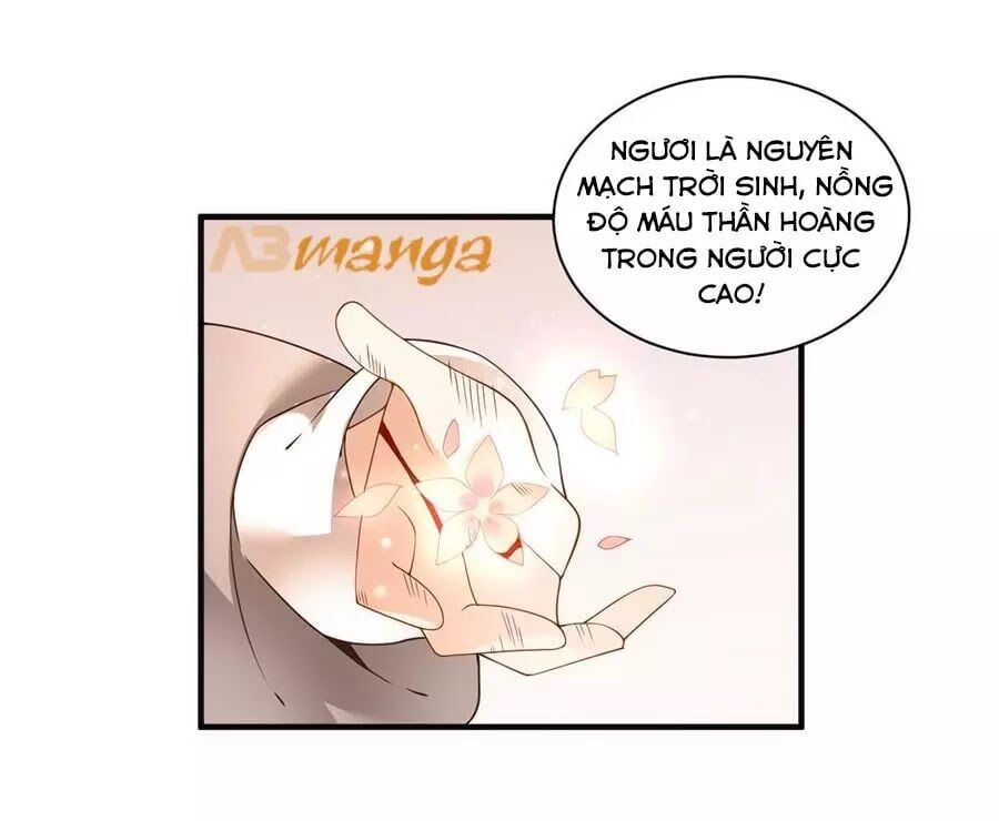 đọc truyện Manh Sư Tại Thượng Chương 149 ảnh 19 tại Thiên Thai Truyện