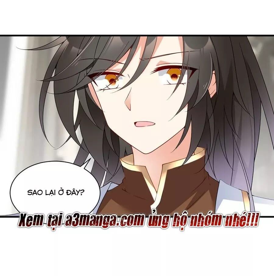 đọc truyện Manh Sư Tại Thượng Chương 149 ảnh 52 tại Thiên Thai Truyện