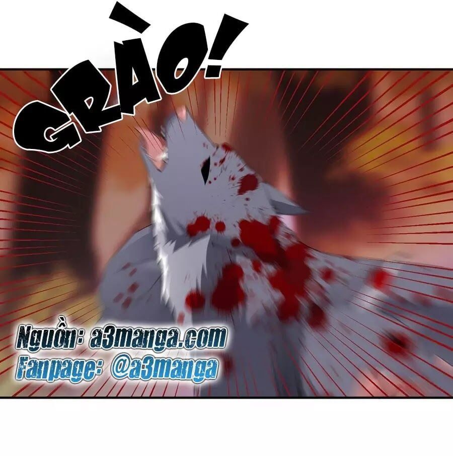 đọc truyện Manh Sư Tại Thượng Chương 159 ảnh 3 tại Thiên Thai Truyện