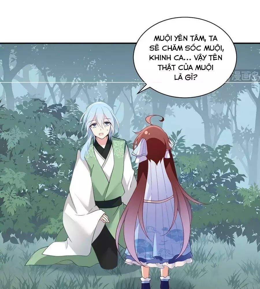 đọc truyện Manh Sư Tại Thượng Chương 162 ảnh 48 tại Thiên Thai Truyện