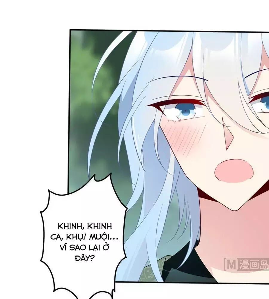 đọc truyện Manh Sư Tại Thượng Chương 162 ảnh 10 tại Thiên Thai Truyện