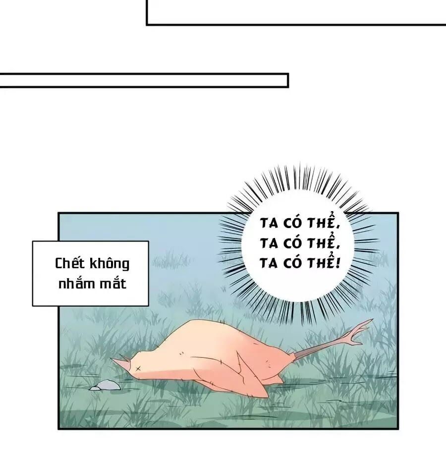 đọc truyện Manh Sư Tại Thượng Chương 164 ảnh 19 tại Thiên Thai Truyện