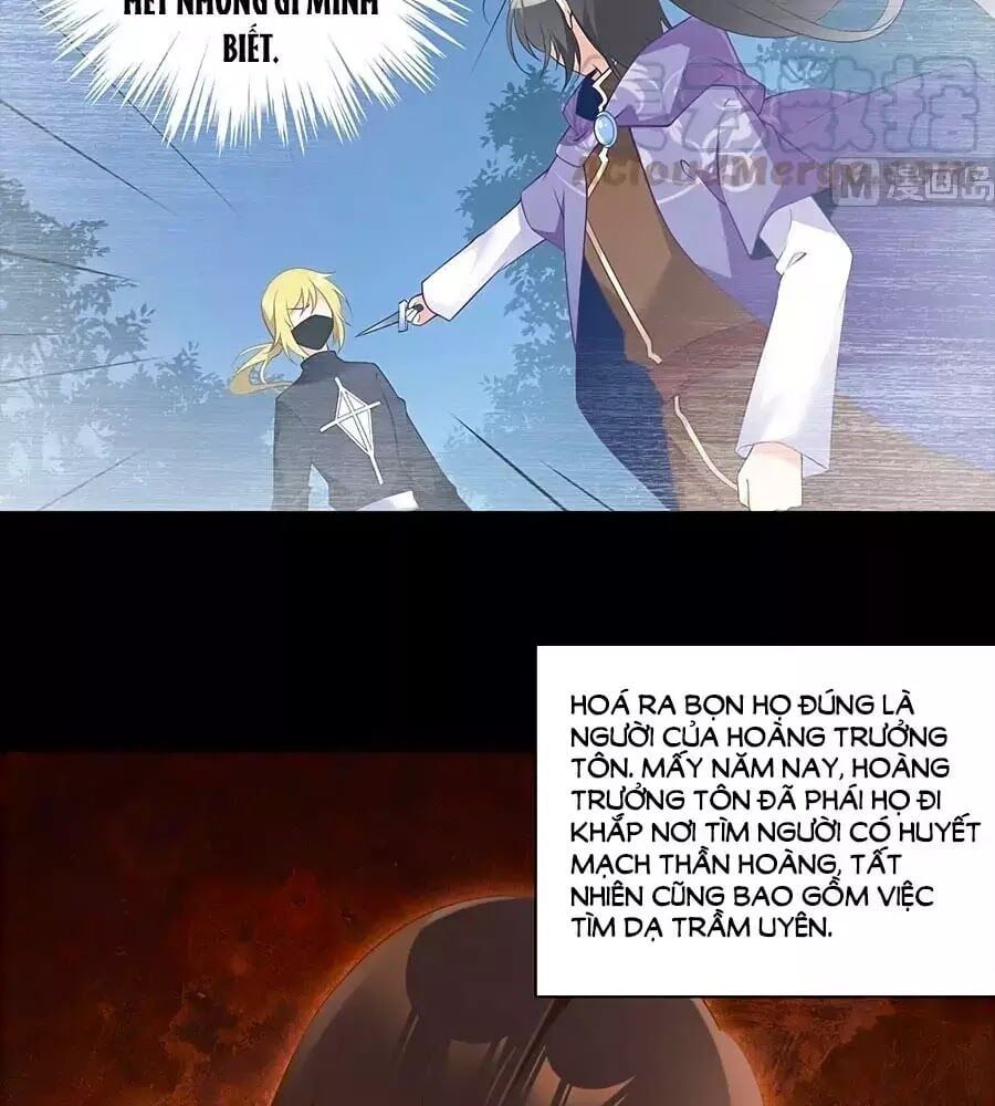 đọc truyện Manh Sư Tại Thượng Chương 165 ảnh 10 tại Thiên Thai Truyện