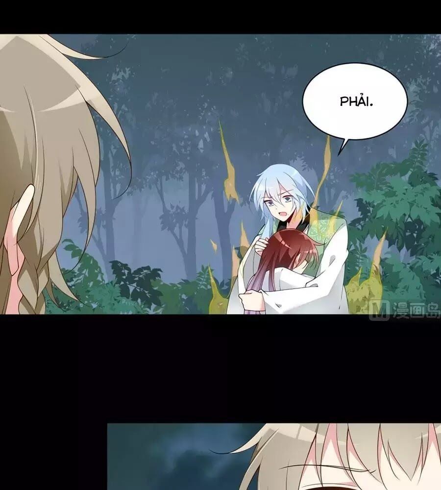 đọc truyện Manh Sư Tại Thượng Chương 166 ảnh 31 tại Thiên Thai Truyện