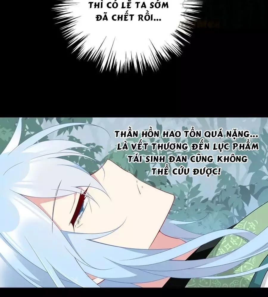 đọc truyện Manh Sư Tại Thượng Chương 167 ảnh 21 tại Thiên Thai Truyện