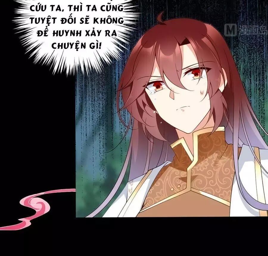 đọc truyện Manh Sư Tại Thượng Chương 167 ảnh 28 tại Thiên Thai Truyện