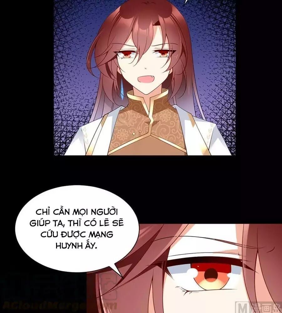 đọc truyện Manh Sư Tại Thượng Chương 167 ảnh 38 tại Thiên Thai Truyện