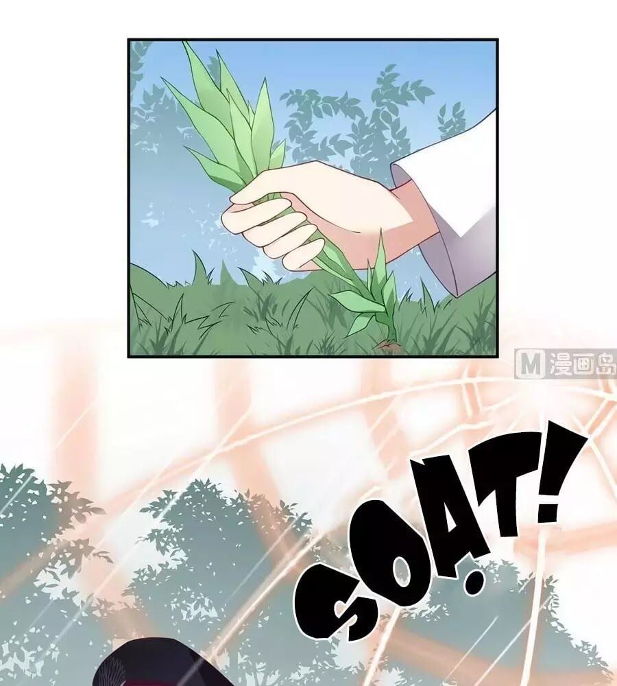 đọc truyện Manh Sư Tại Thượng Chương 167 ảnh 43 tại Thiên Thai Truyện