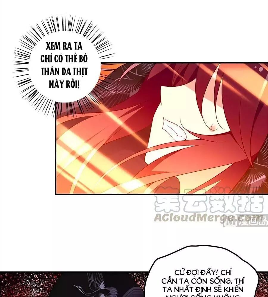 đọc truyện Manh Sư Tại Thượng Chương 168 ảnh 33 tại Thiên Thai Truyện