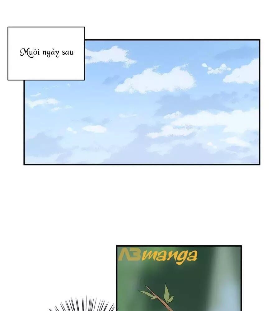 đọc truyện Manh Sư Tại Thượng Chương 170 ảnh 37 tại Thiên Thai Truyện