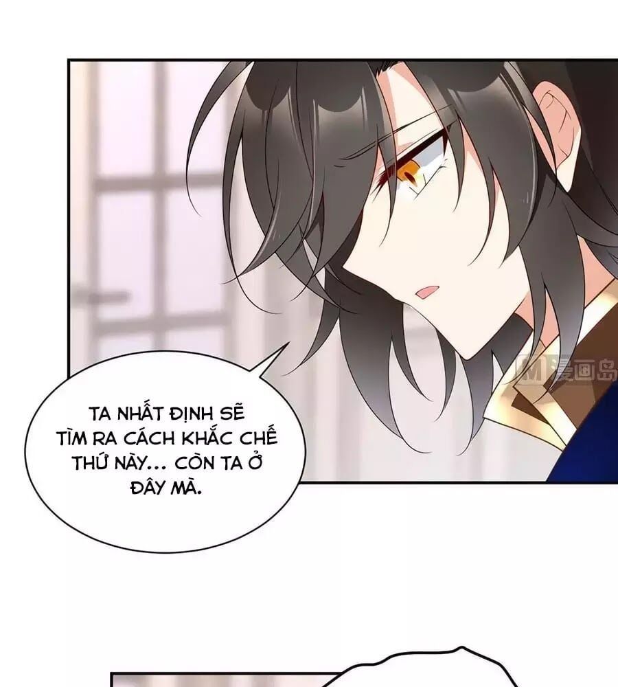 đọc truyện Manh Sư Tại Thượng Chương 173 ảnh 32 tại Thiên Thai Truyện