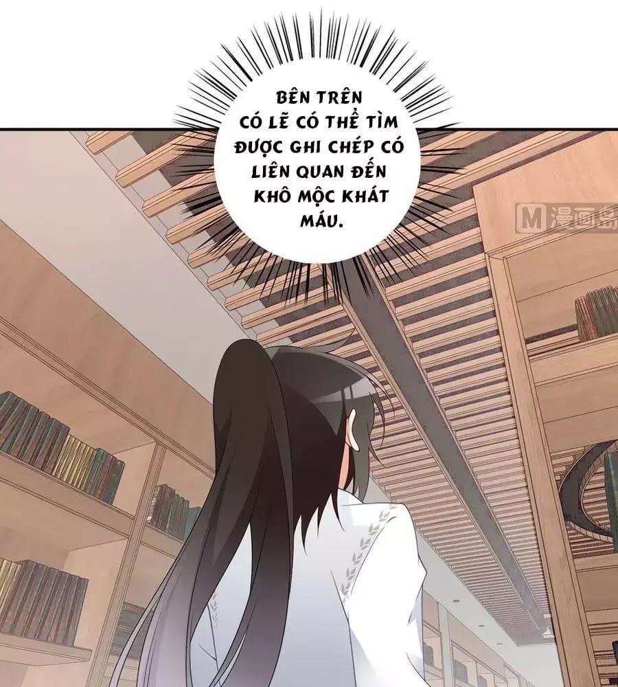 đọc truyện Manh Sư Tại Thượng Chương 175 ảnh 10 tại Thiên Thai Truyện