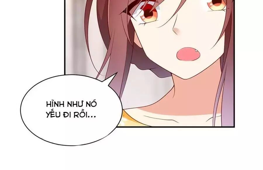 đọc truyện Manh Sư Tại Thượng Chương 180 ảnh 17 tại Thiên Thai Truyện