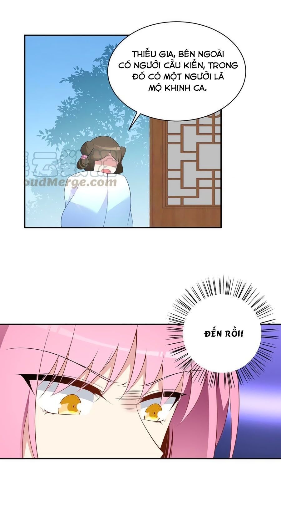 đọc truyện Manh Sư Tại Thượng Chương 193 ảnh 19 tại Thiên Thai Truyện