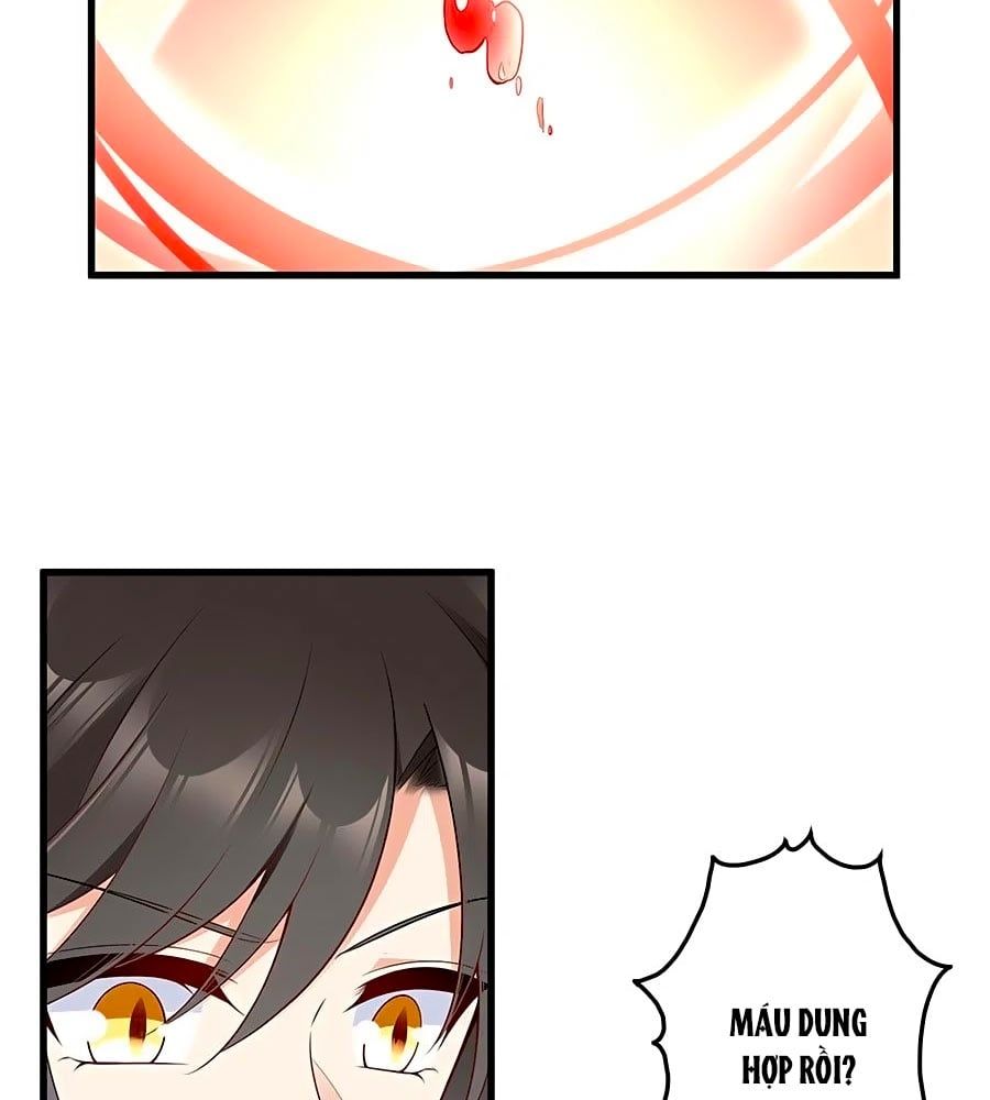 đọc truyện Manh Sư Tại Thượng Chương 221 ảnh 39 tại Thiên Thai Truyện