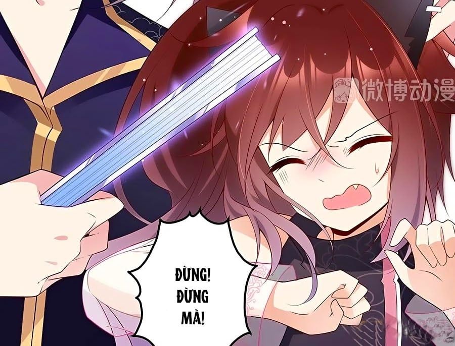 đọc truyện Manh Sư Tại Thượng Chương 230 ảnh 12 tại Thiên Thai Truyện