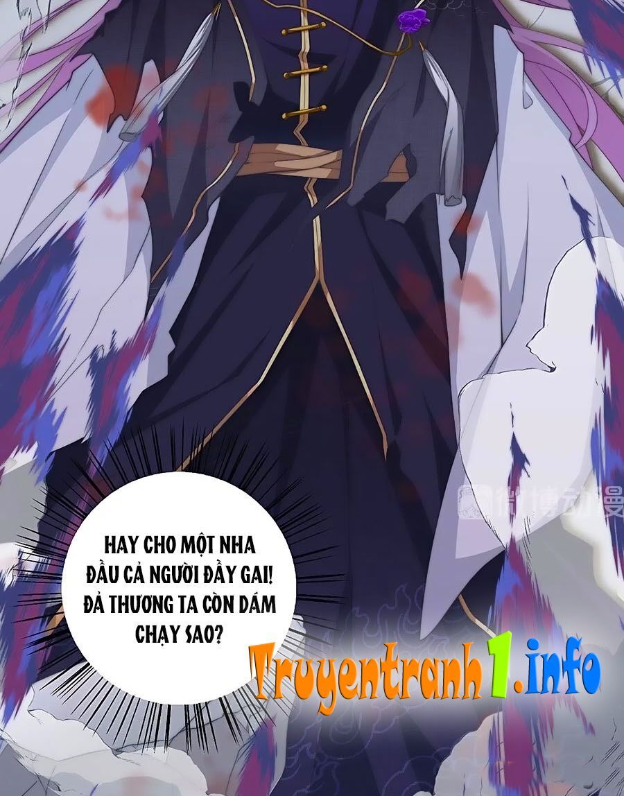 đọc truyện Manh Sư Tại Thượng Chương 231 ảnh 12 tại Thiên Thai Truyện