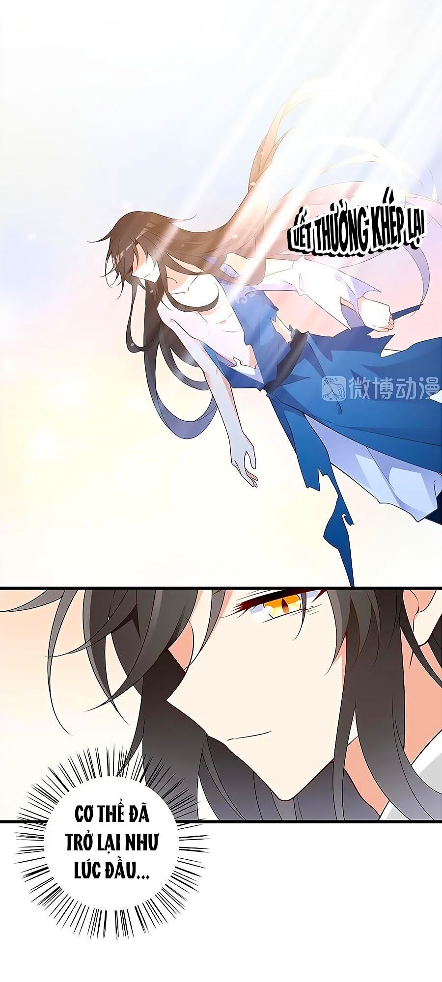 đọc truyện Manh Sư Tại Thượng Chương 254 ảnh 23 tại Thiên Thai Truyện