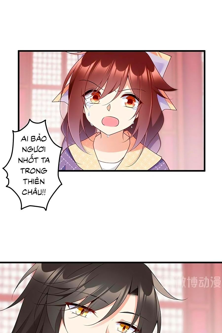 đọc truyện Manh Sư Tại Thượng Chương 255 ảnh 3 tại Thiên Thai Truyện