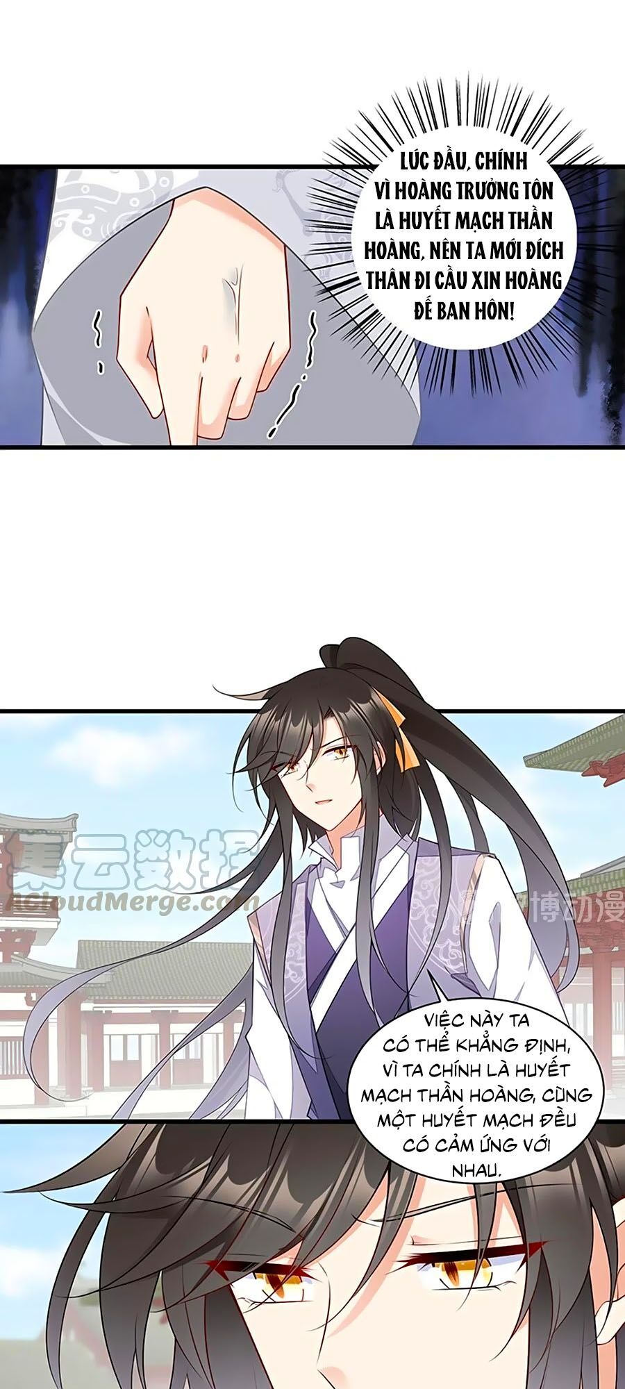 đọc truyện Manh Sư Tại Thượng Chương 266 ảnh 11 tại Thiên Thai Truyện