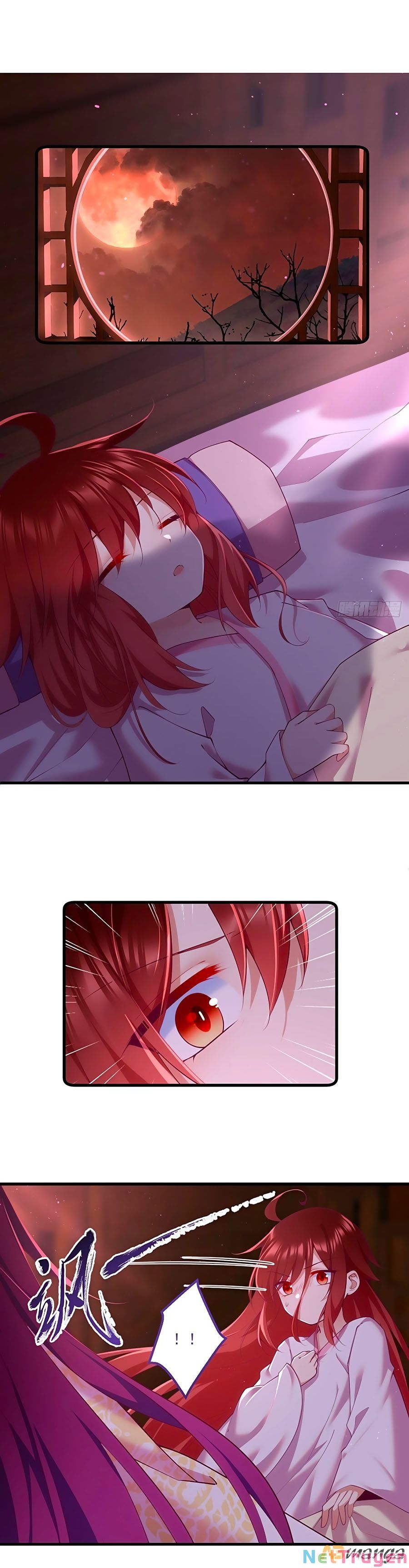 đọc truyện Manh Sư Tại Thượng Chương 311 ảnh 3 tại Thiên Thai Truyện