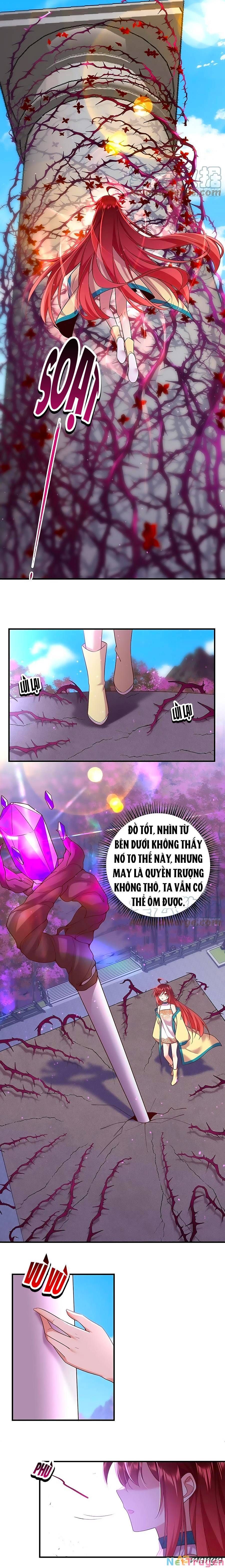 đọc truyện Manh Sư Tại Thượng Chương 329 ảnh 7 tại Thiên Thai Truyện