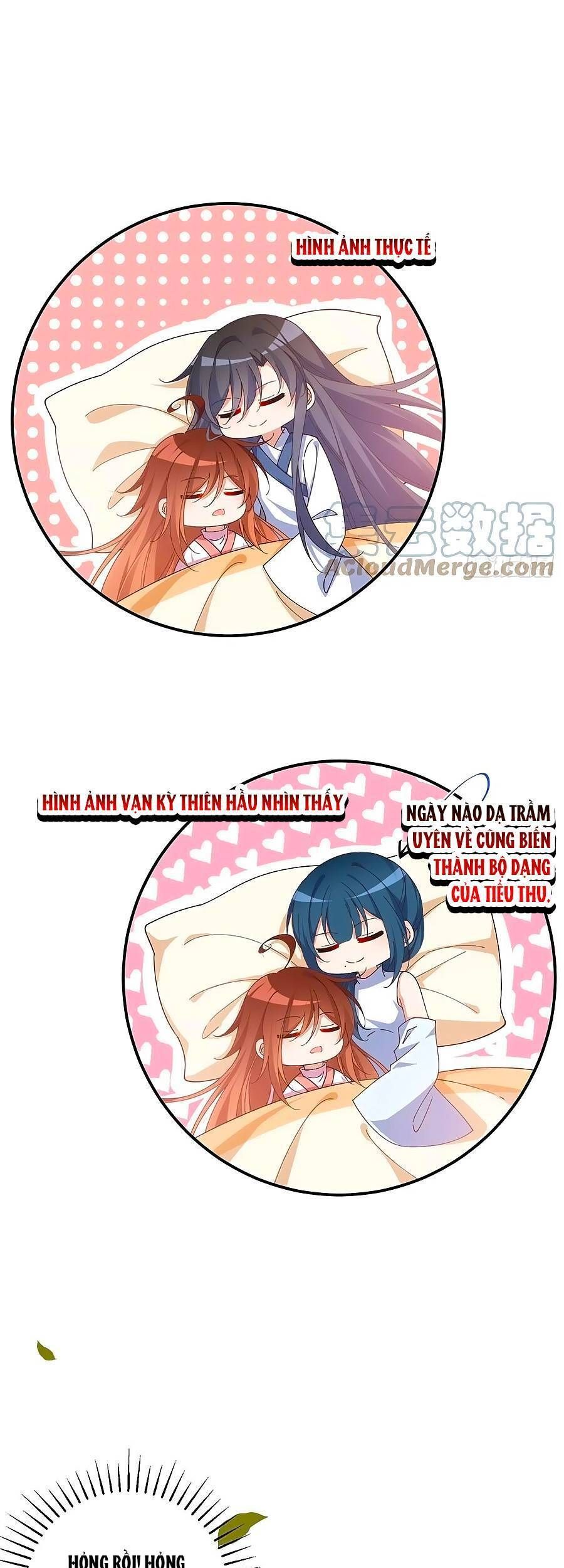 đọc truyện Manh Sư Tại Thượng Chương 370 ảnh 25 tại Thiên Thai Truyện