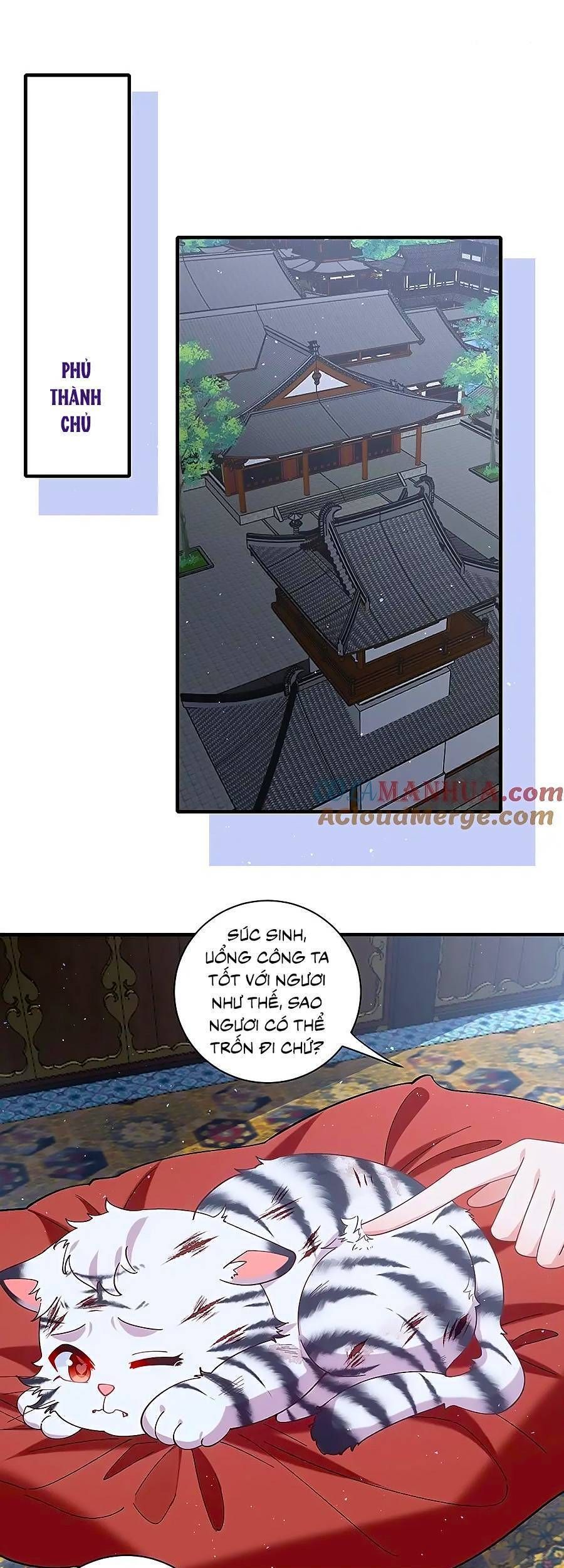 đọc truyện Manh Sư Tại Thượng Chương 447 ảnh 17 tại Thiên Thai Truyện