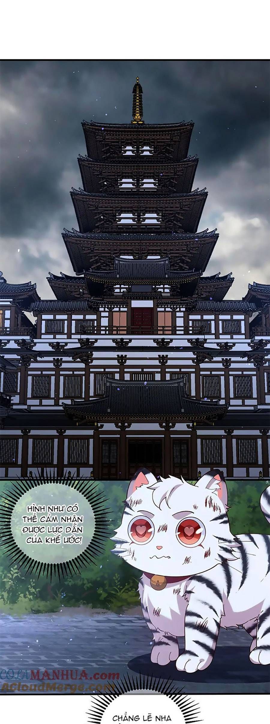 đọc truyện Manh Sư Tại Thượng Chương 448 ảnh 10 tại Thiên Thai Truyện