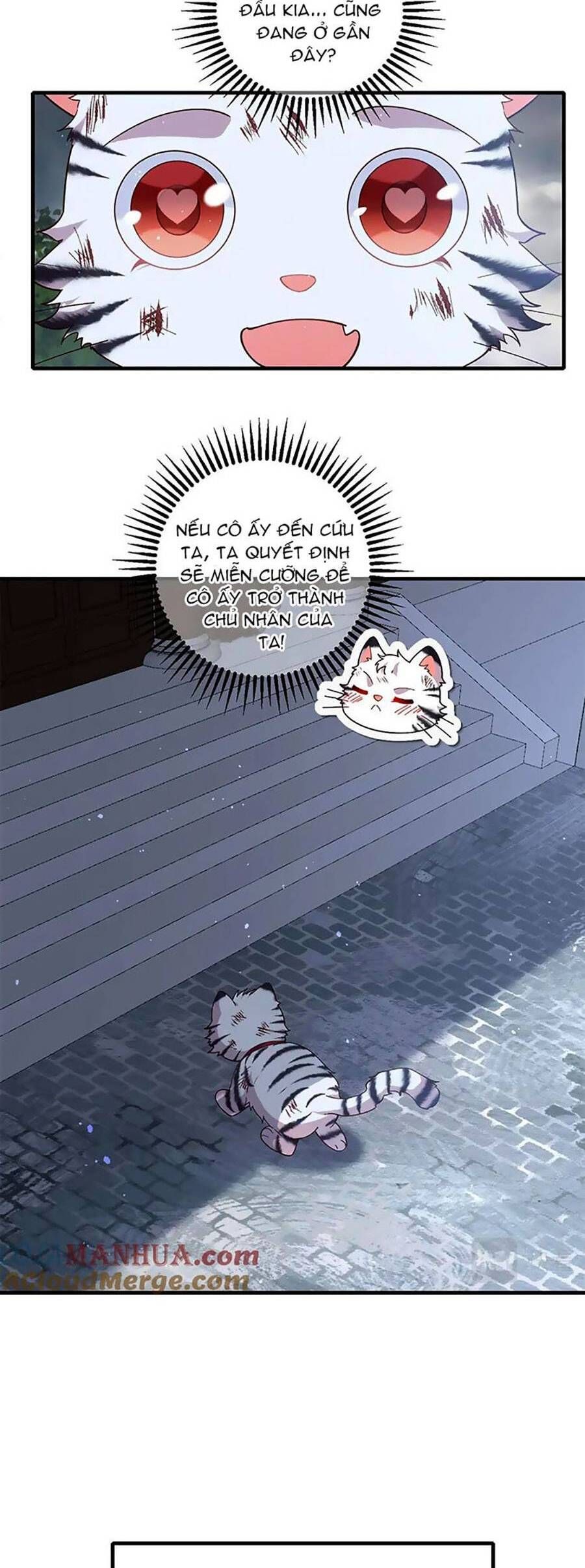 đọc truyện Manh Sư Tại Thượng Chương 448 ảnh 11 tại Thiên Thai Truyện