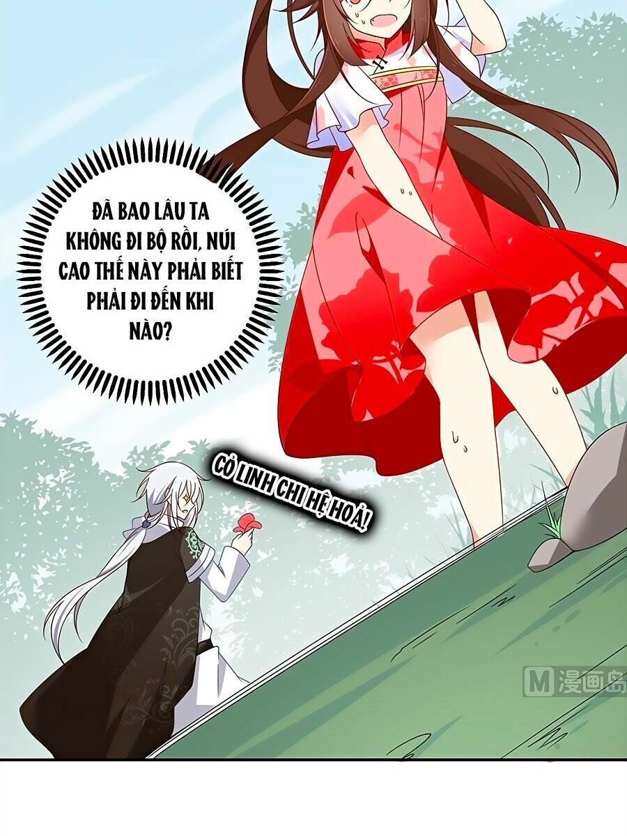 đọc truyện Manh Sư Tại Thượng Chương 92 ảnh 13 tại Thiên Thai Truyện